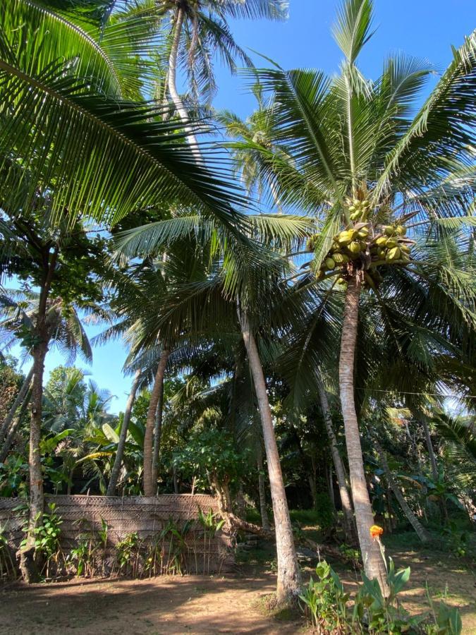 Mango Villa Hikkaduwa Eksteriør bilde